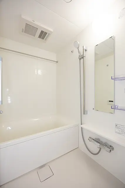 Ipse Shirokane203 5.webp