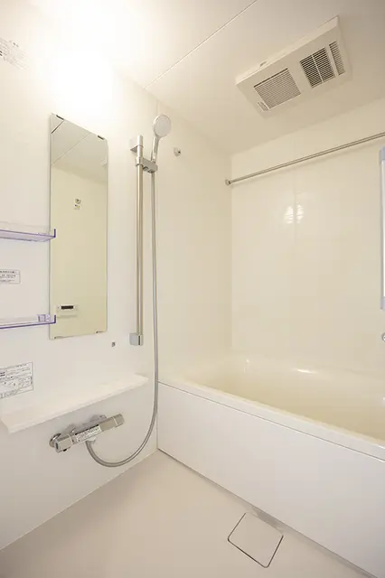 Ipse Shirokane202 5.webp