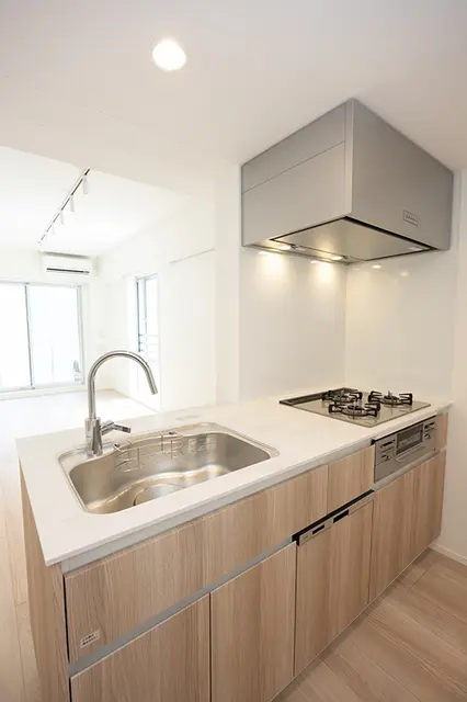 Ipse Shirokane202 4.webp