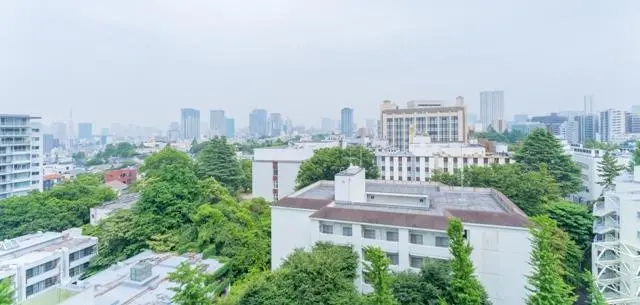 Prime Art Shirokanedai 1102 8.webp