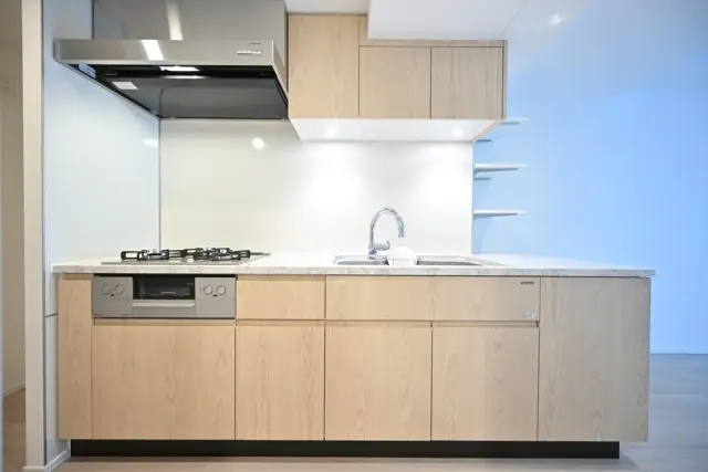 Sunwood Flats Shinjuku 3-Chome 901 4.webp