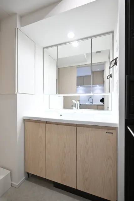 Sunwood Flats Shinjuku 3-Chome 901 6.webp