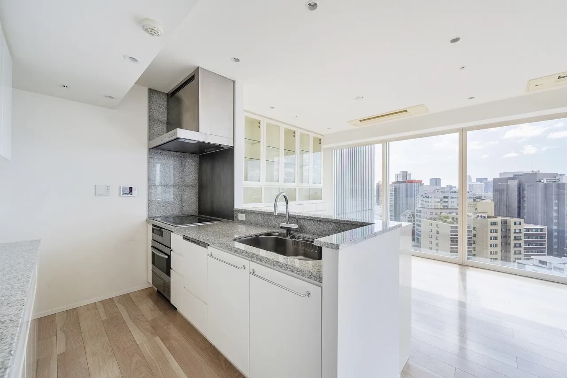 THE ROPPONGI TOKYO 11.jpg