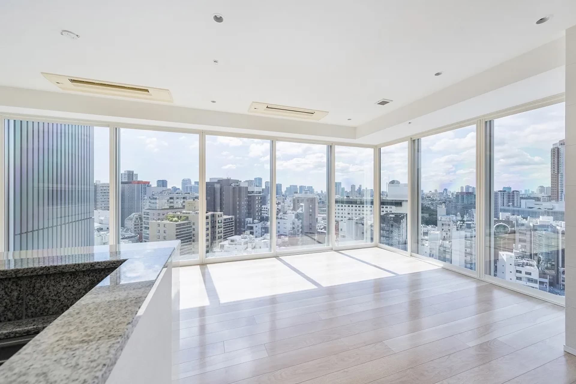 THE ROPPONGI TOKYO 10.jpg