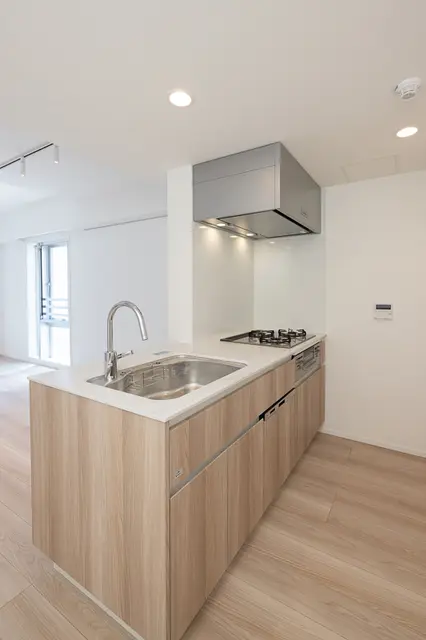 IPSE Shirokane 302 4.webp