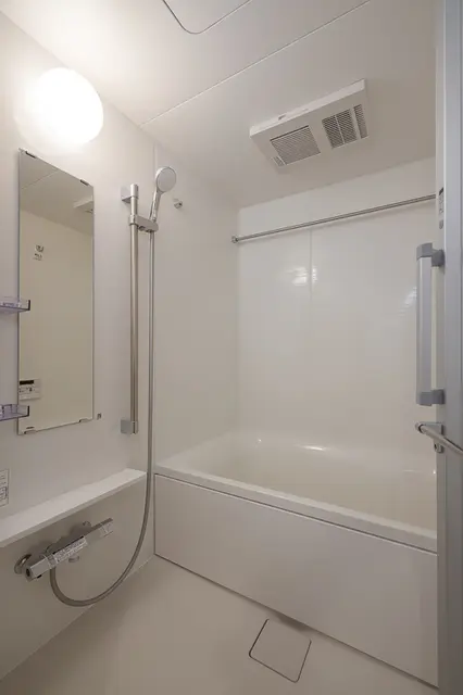 IPSE Shirokane 302 5.webp