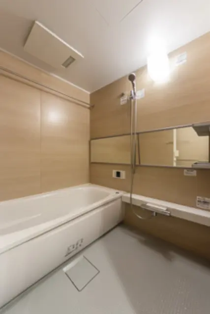 Oriental Yokoyamacho 603 4.webp