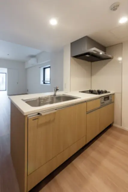 Oriental Yokoyamacho 603 3.webp