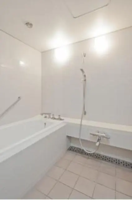 Koishikawa Park Tower 1008 4.webp