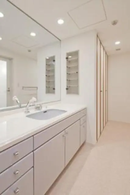 Koishikawa Park Tower 1008 6.webp