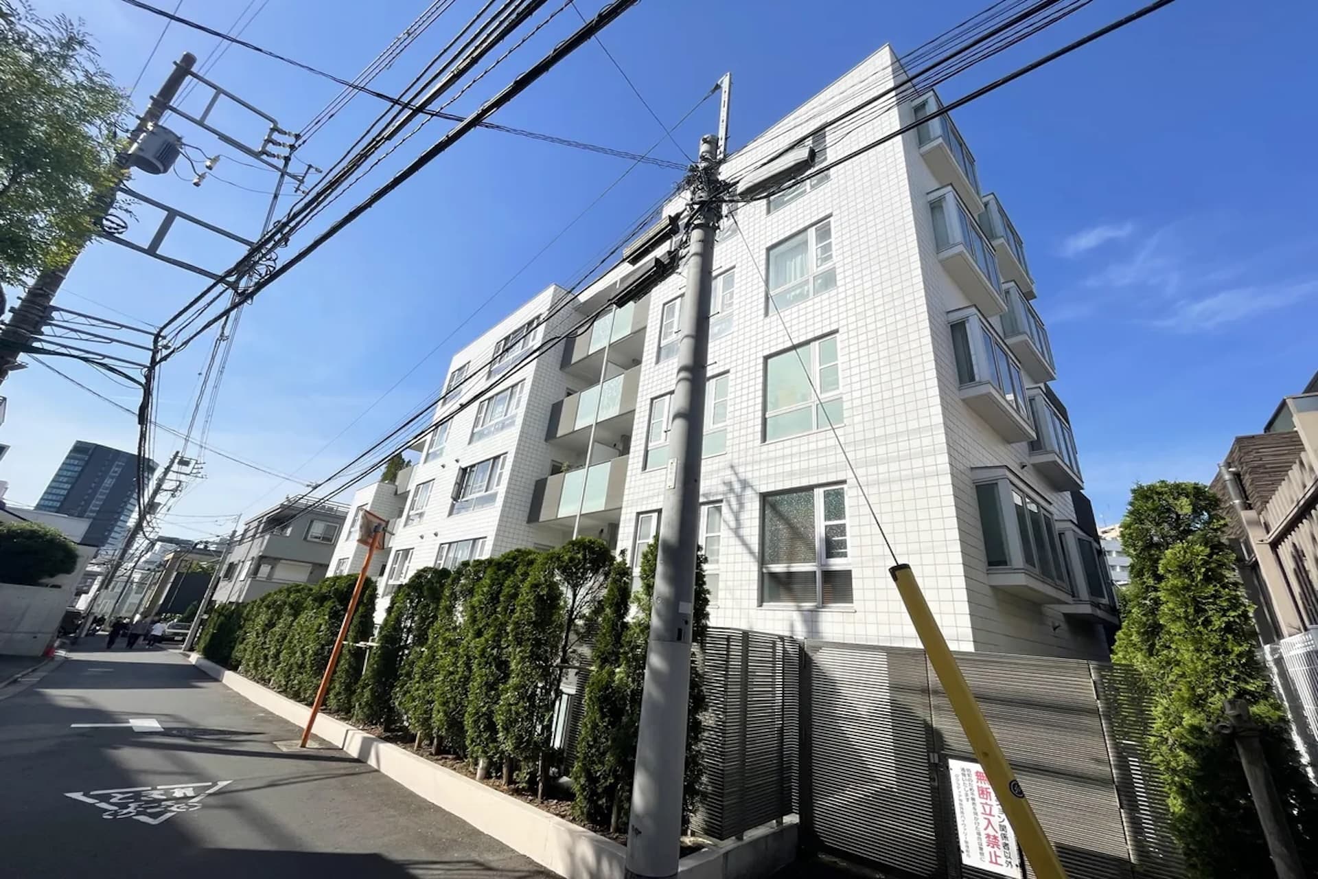 D' Cladia Jingu Gaien High Valley4.jpg