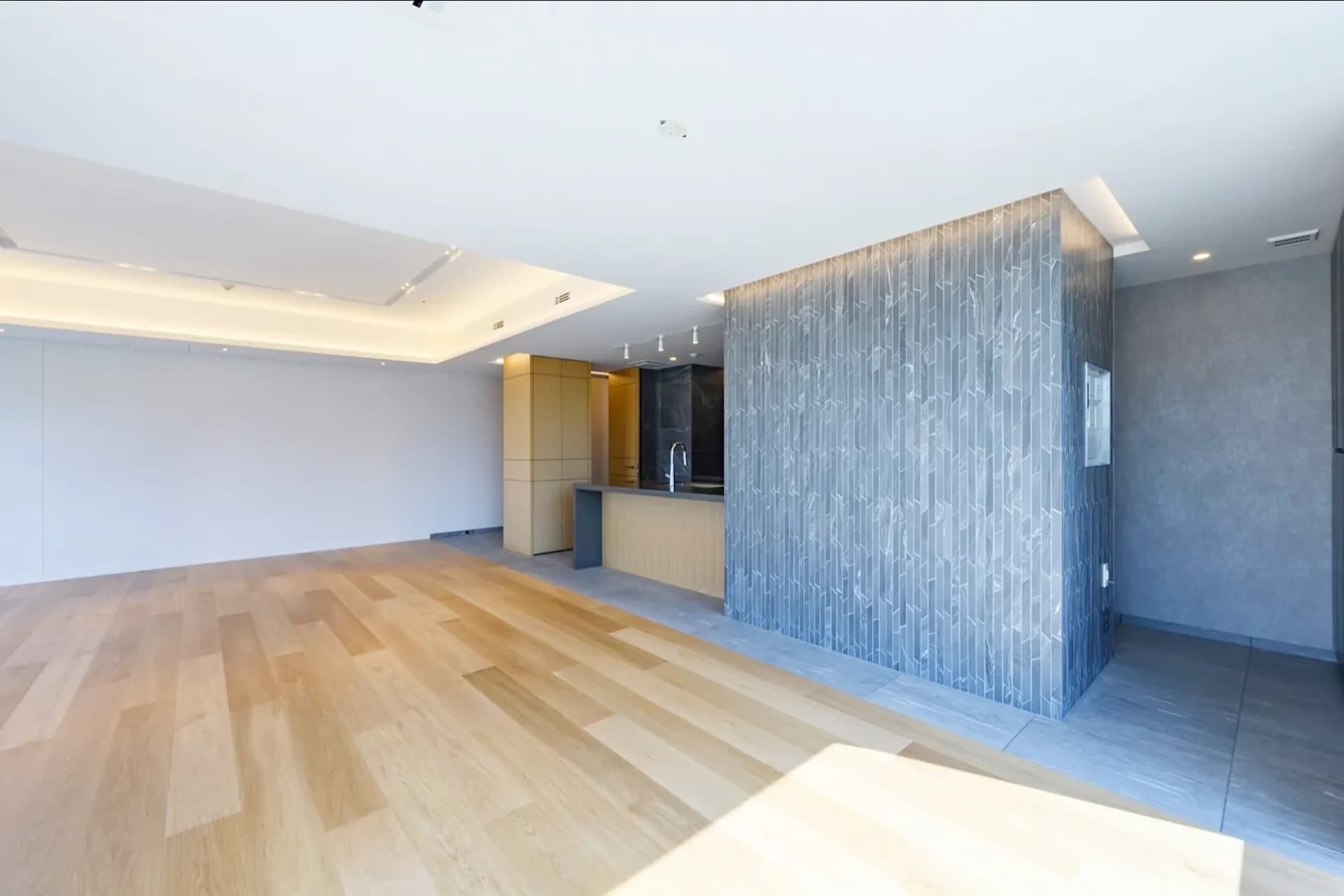 Park Court Geo Nagatacho9.jpg