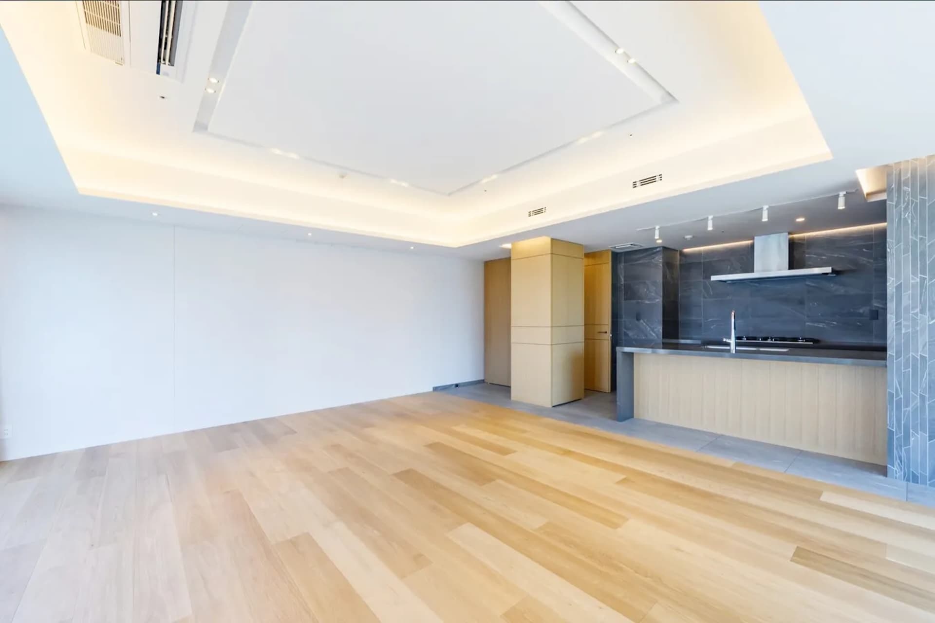 Park Court Geo Nagatacho6.jpg