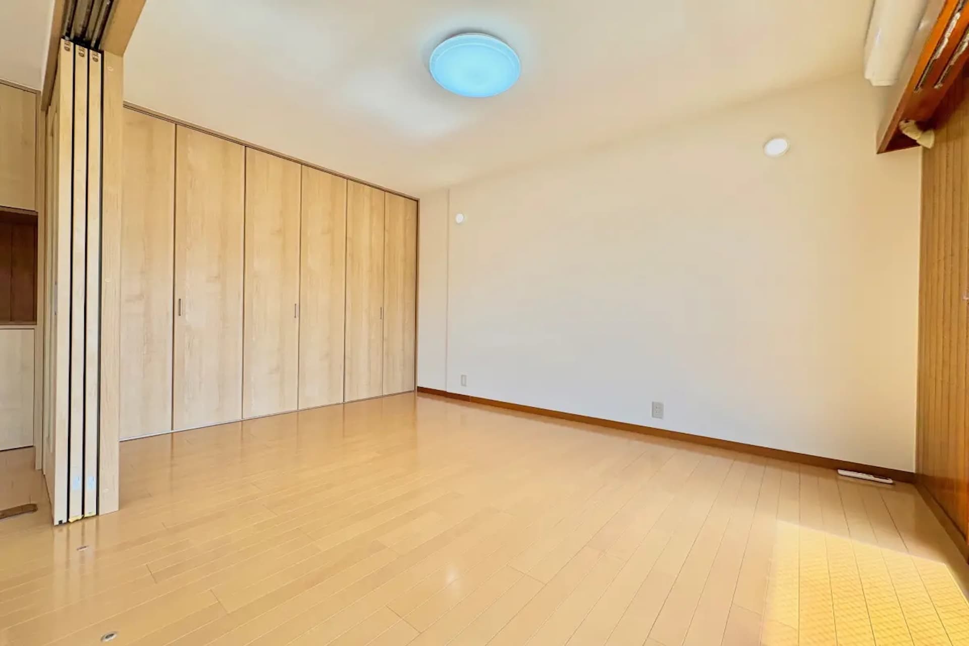 Lamiar toritudai6.jpg