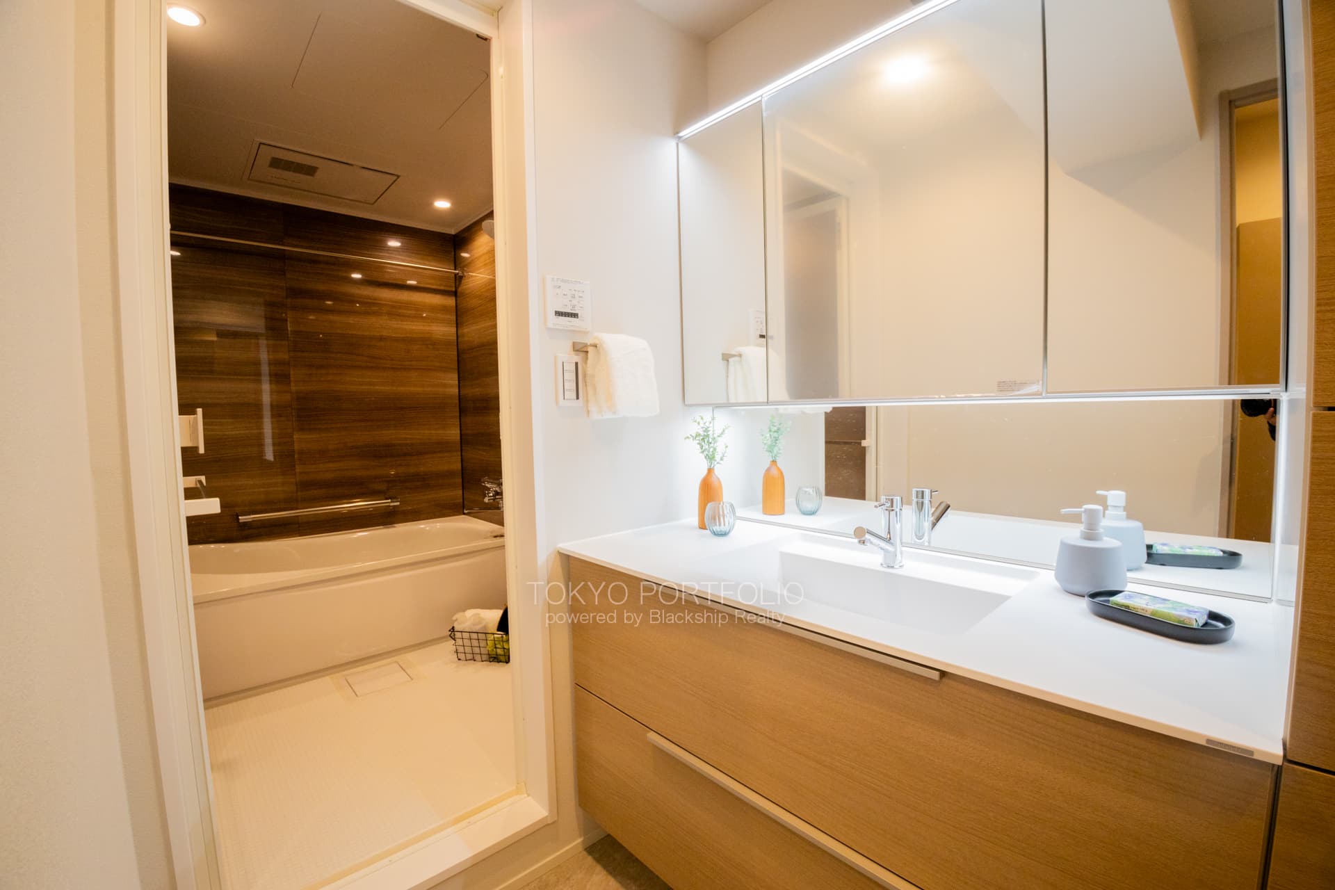 Sunview Heights Yonbancho 301-2.JPG