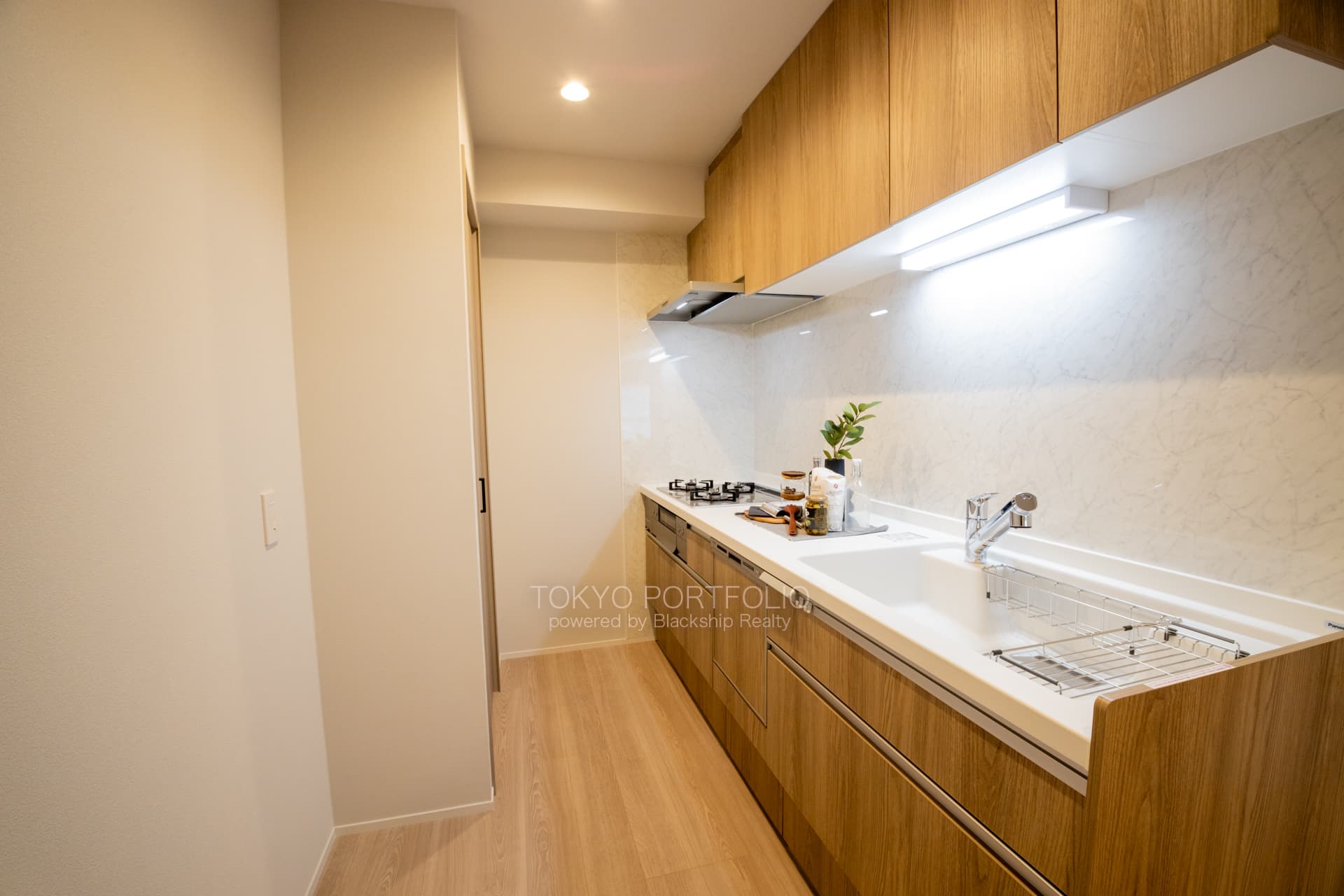 Sunview Heights Yonbancho 301-4.JPG