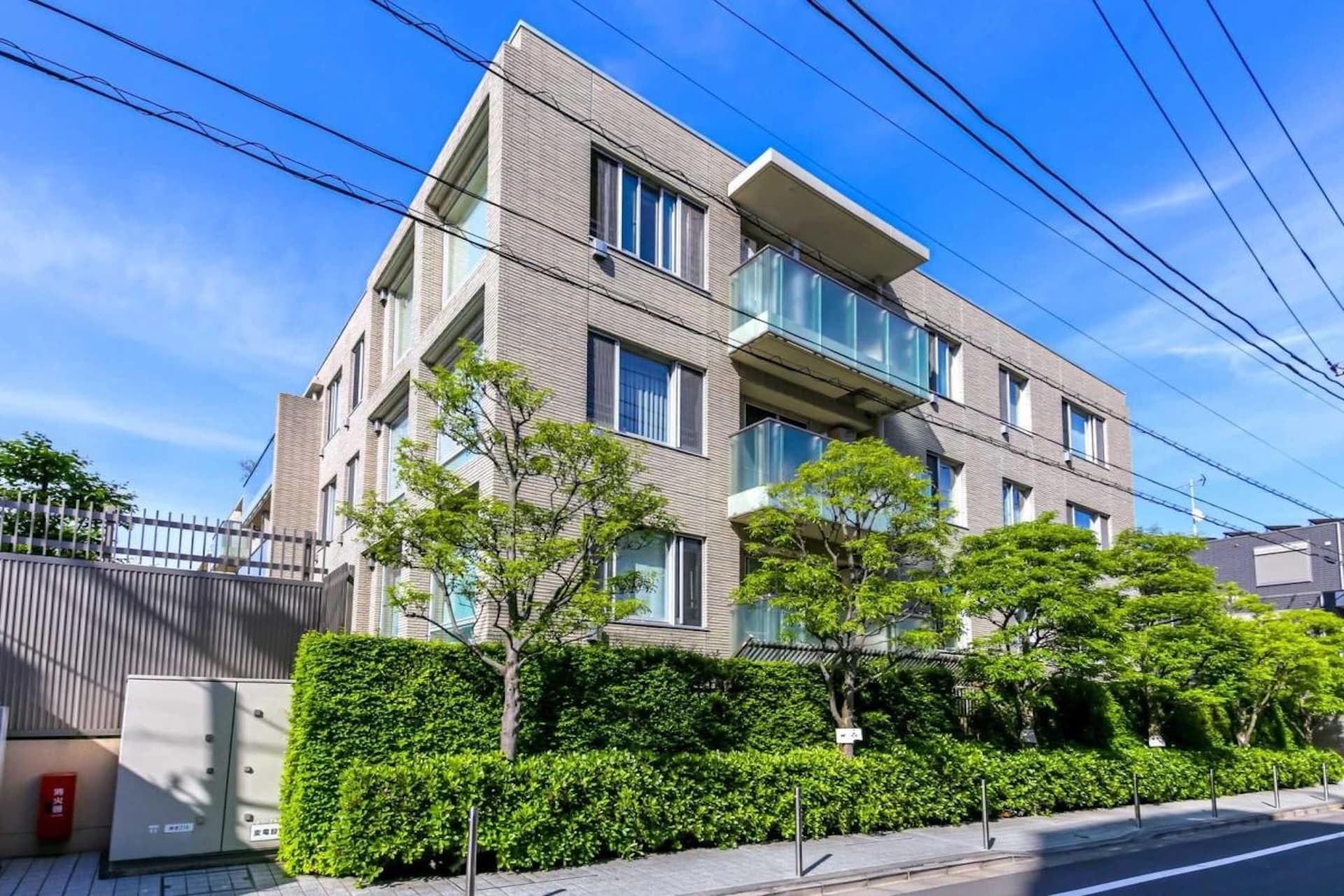 DIANA COURT UEHARA3.jpg