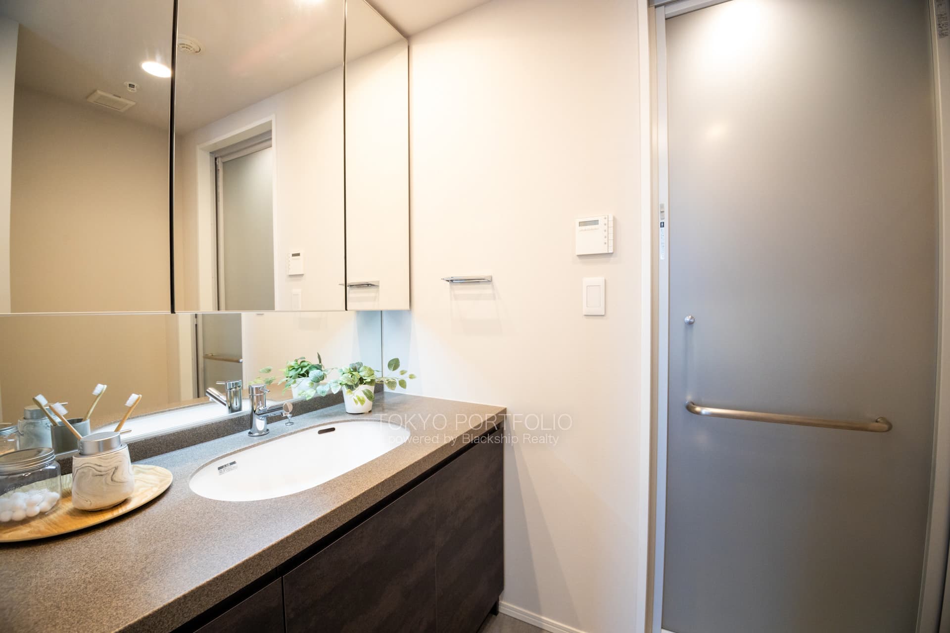 La Tour Shibuya Udagawa 1802 Powderroom.jpg