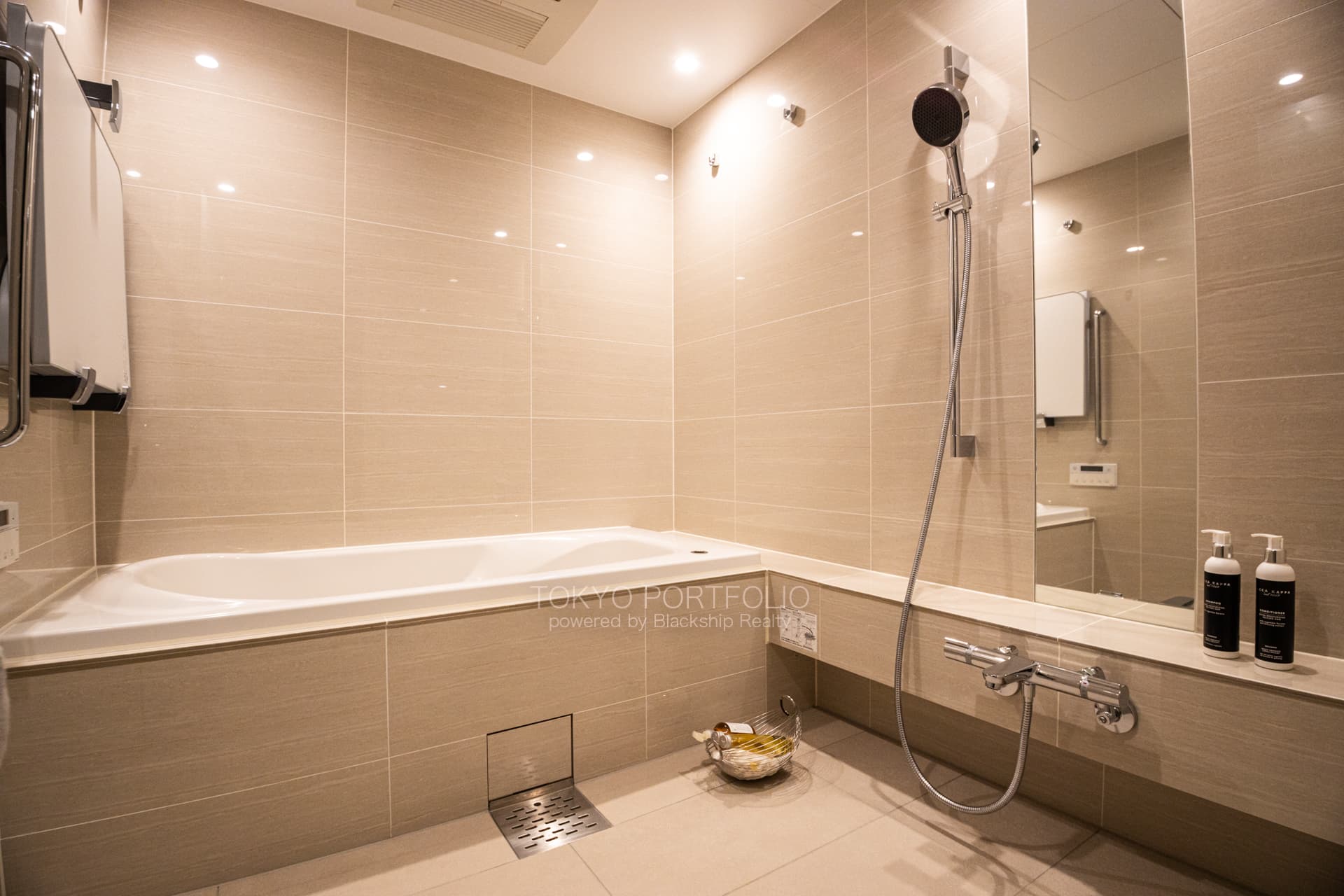 Park Le Jade Shirokane Residence 312 Bathroom.JPG