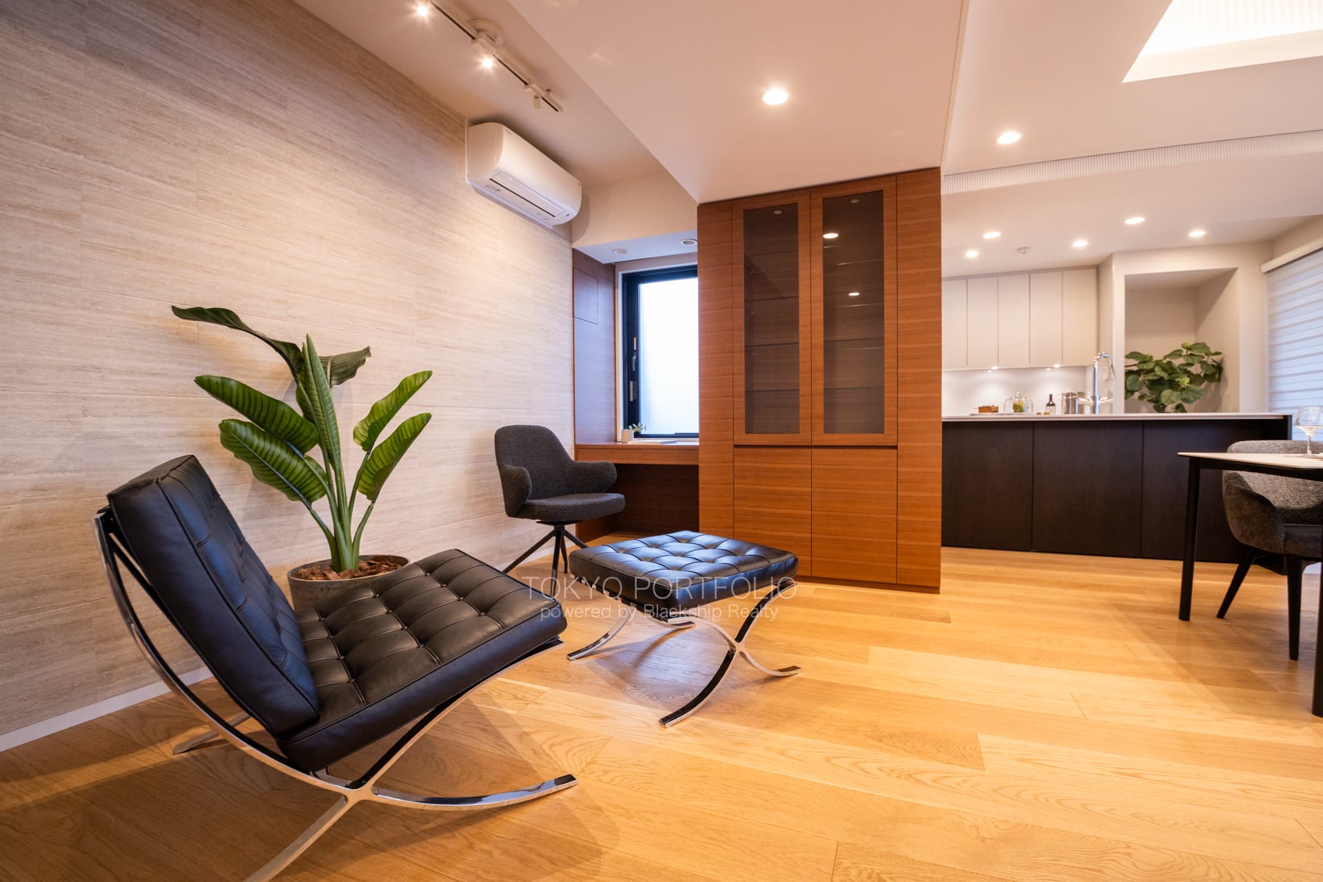 Park Le Jade Shirokane Residence 312 Living Room4.JPG