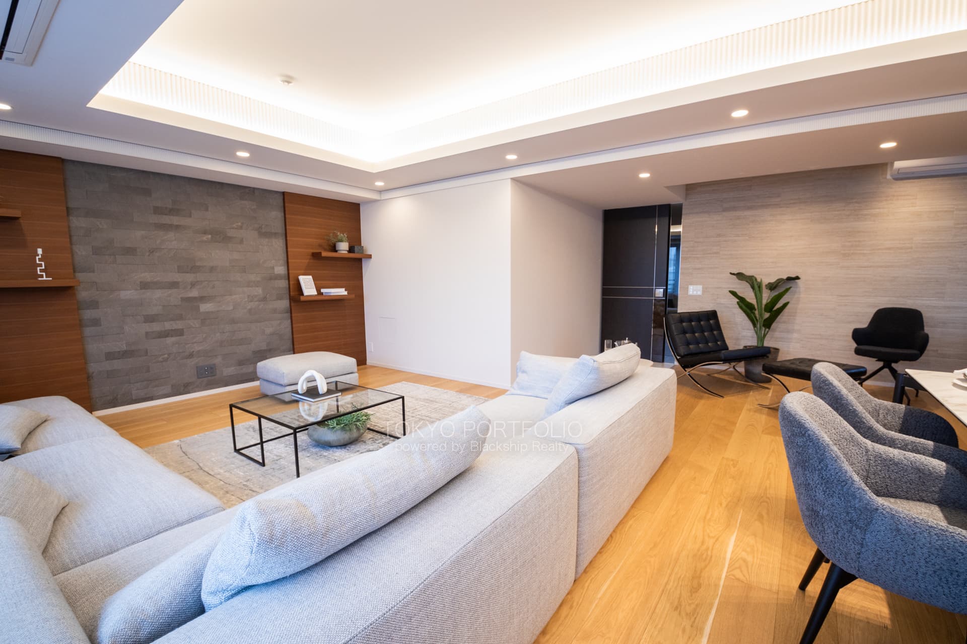 Park Le Jade Shirokane Residence 312 Living Room3.JPG