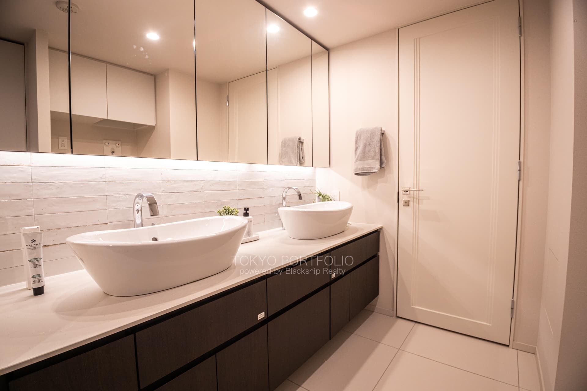 Park Le Jade Shirokane Residence 312 Powderroom.JPG