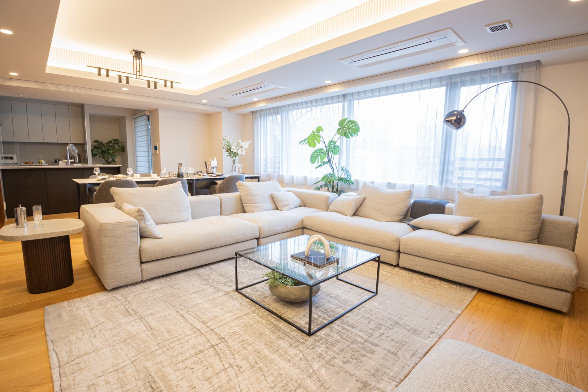 Park Le Jade Shirokane Residence 312 Living Room1.JPG