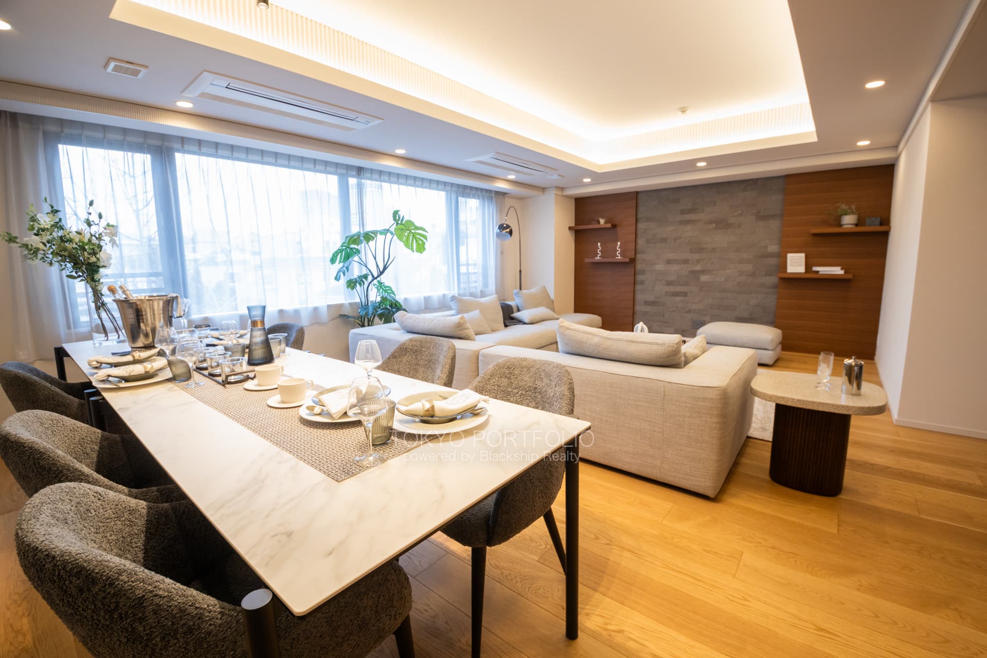 Park Le Jade Shirokane Residence 312 Living Room5.JPG