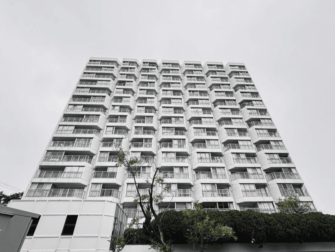 Screenshot 2026-02-01 at 16.47.56.png