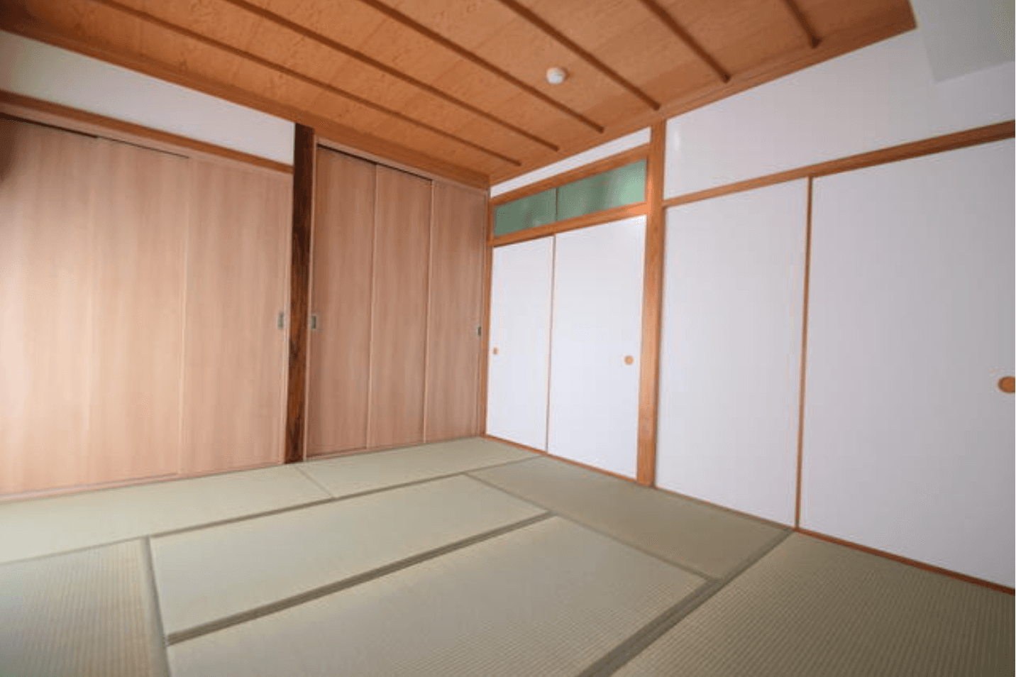 Screenshot 2026-04-09 at 15.23.41.png