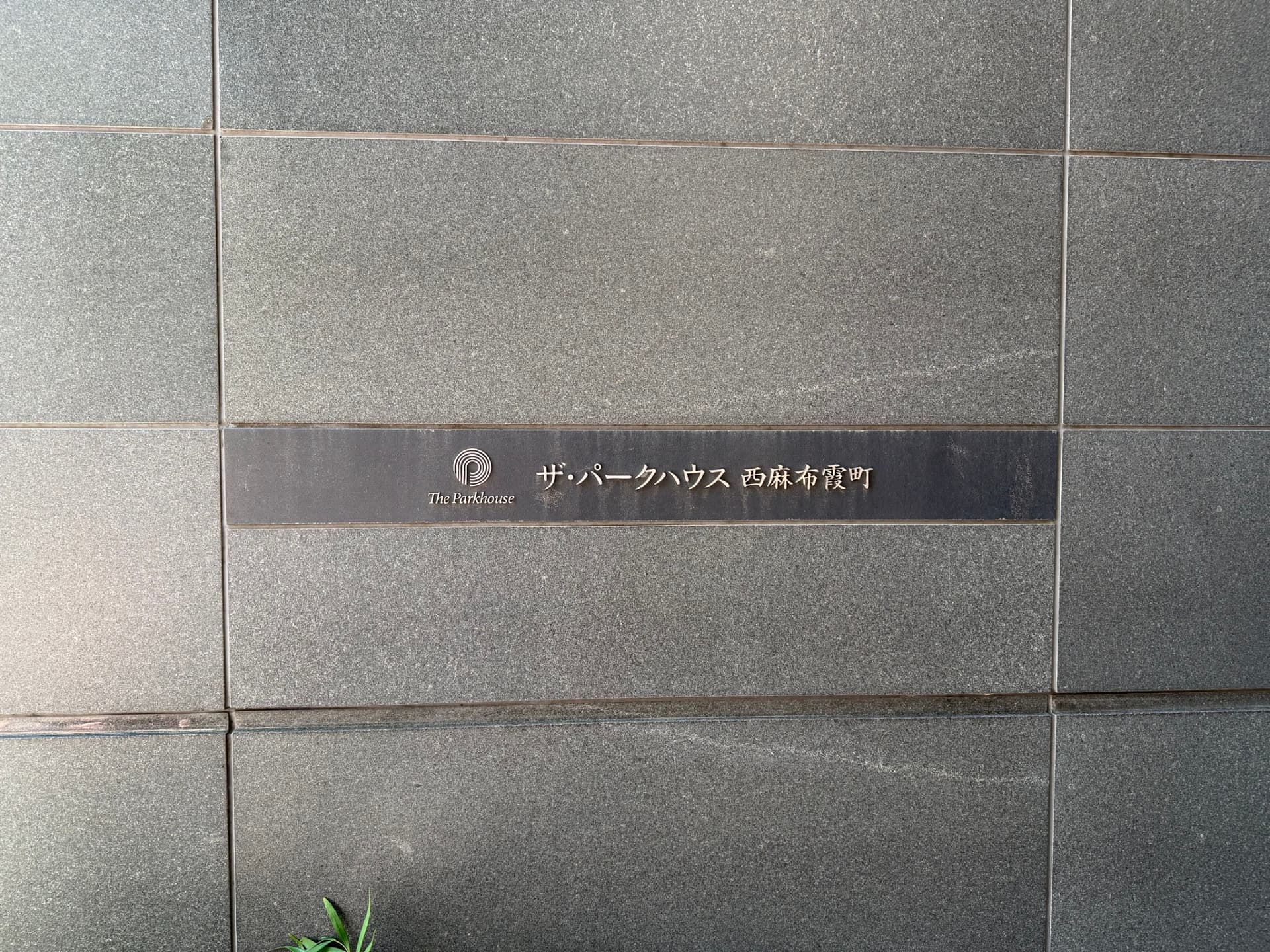 IMG_0478.jpeg