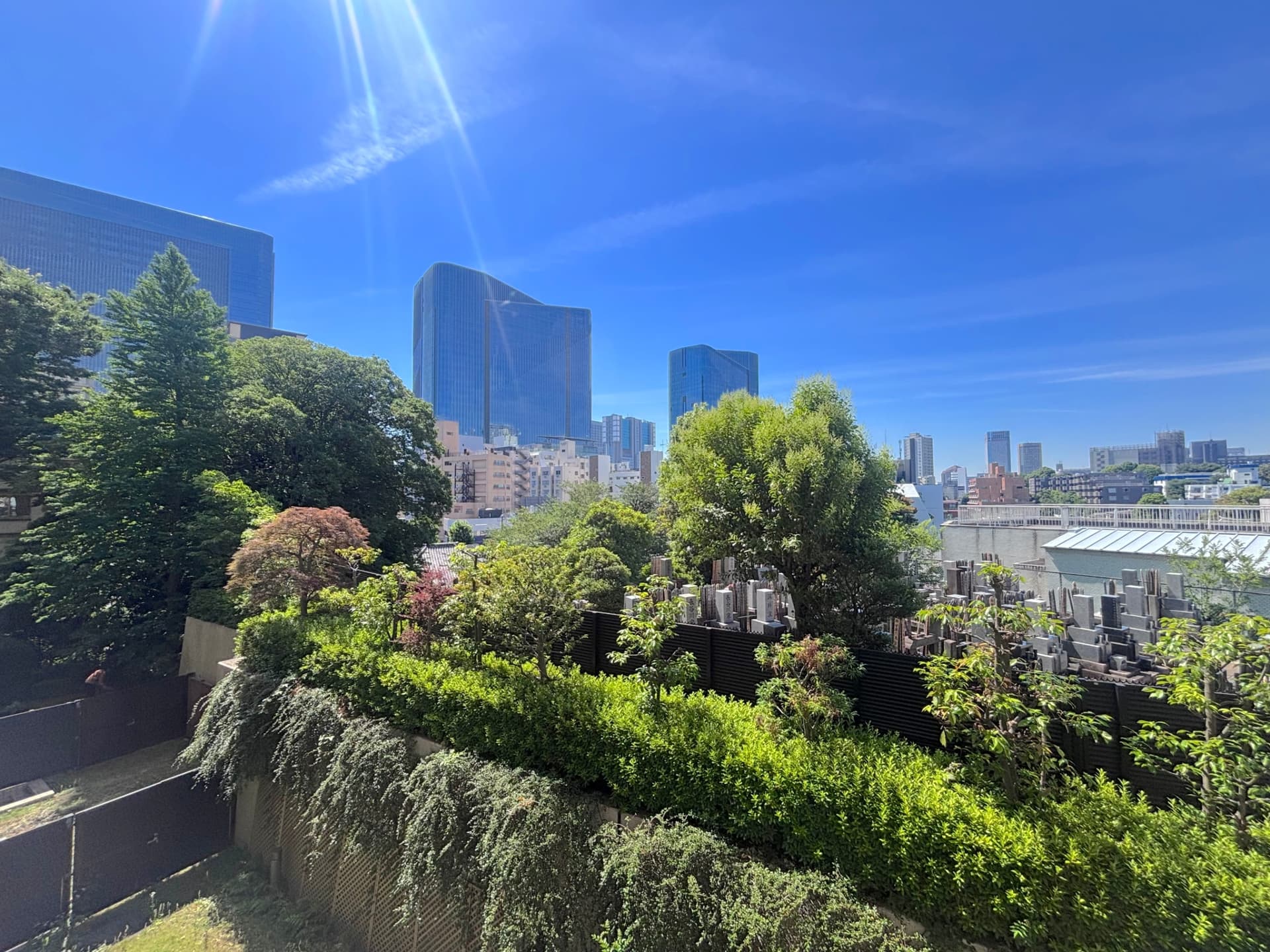 IMG_4015.jpeg