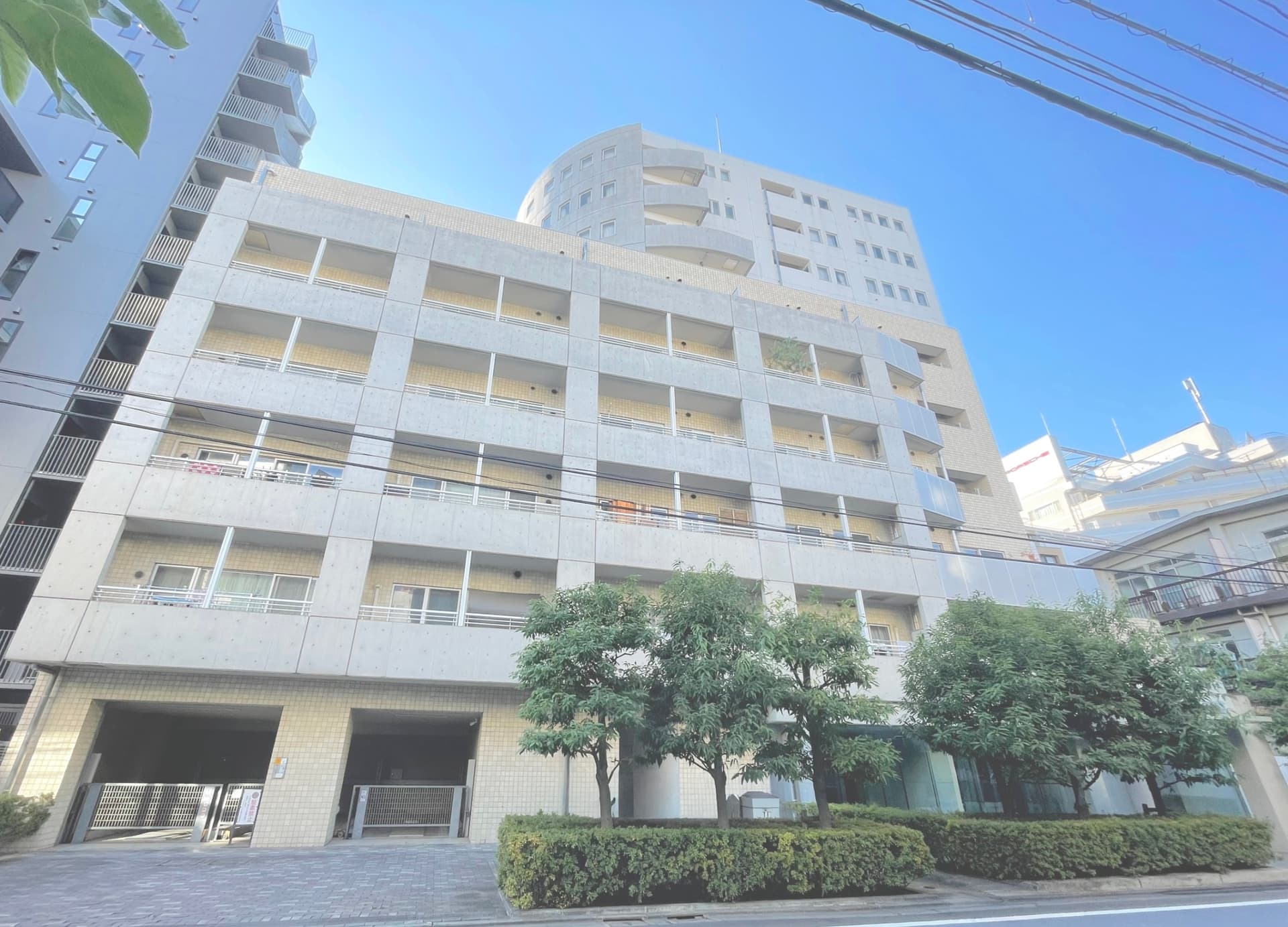 image15.JPG