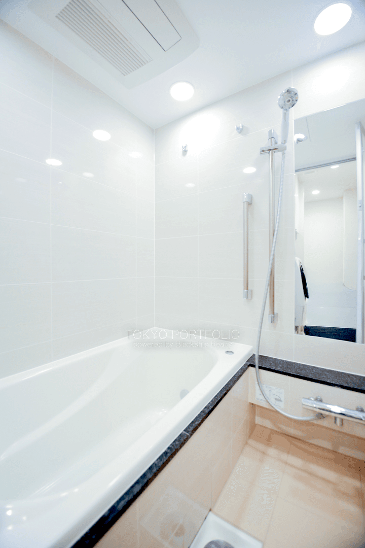 Bath area 3.png