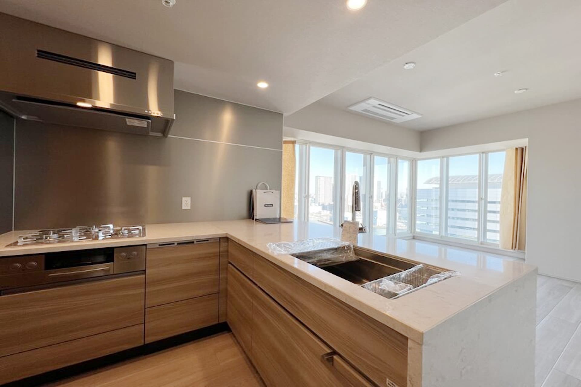 Brillia Tower Hamarikyu 1.jpg