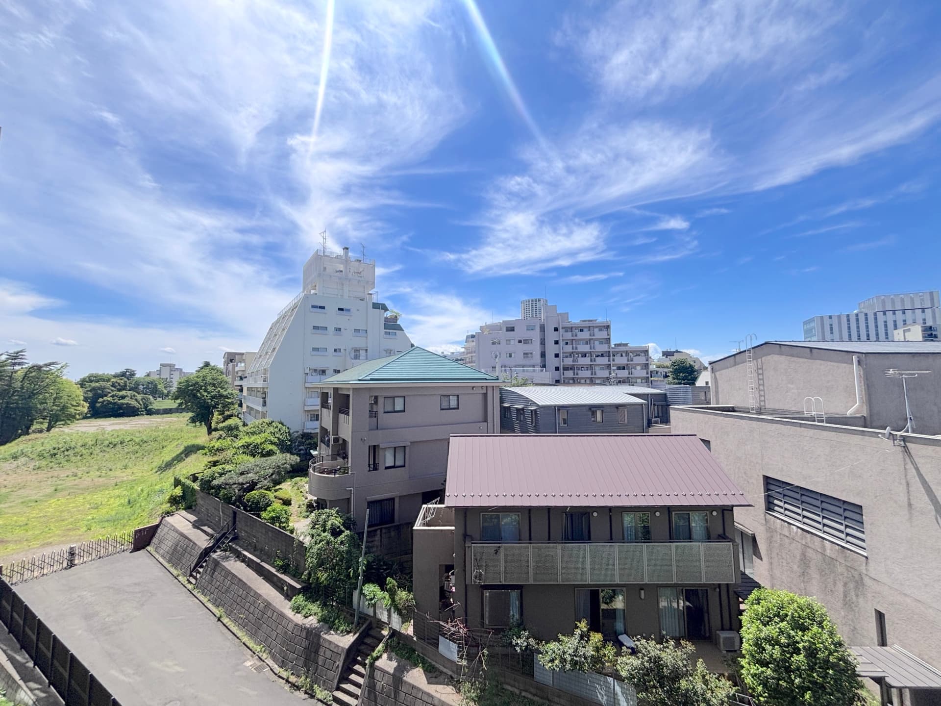 IMG_3590.jpeg