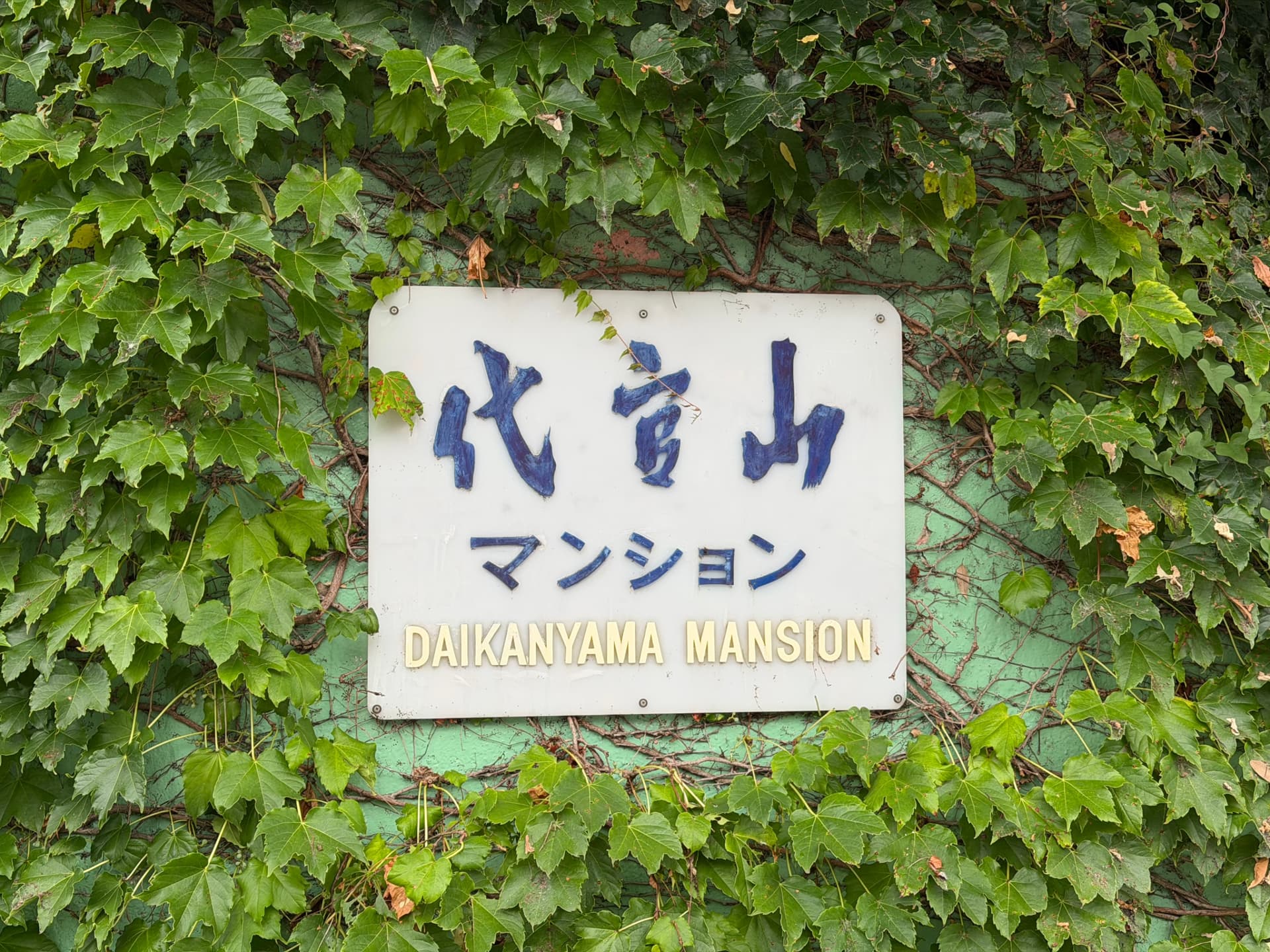 IMG_1386.jpeg
