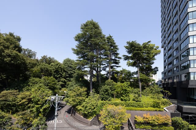 30ad7fdc0b6a4008a938b5df5a775434