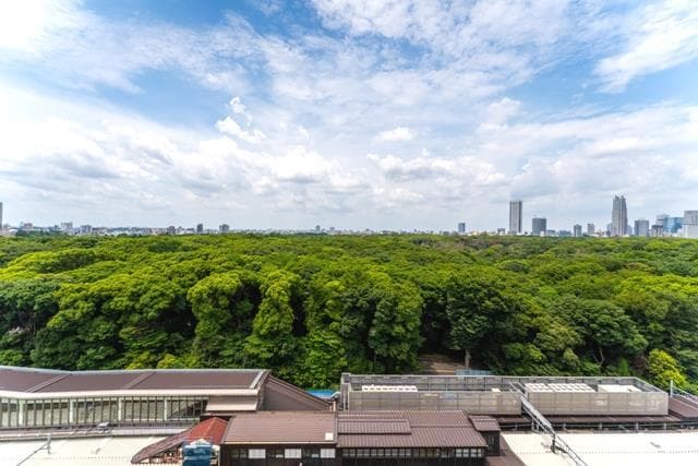 07de8f9a781546bb9afcde83800ddeee