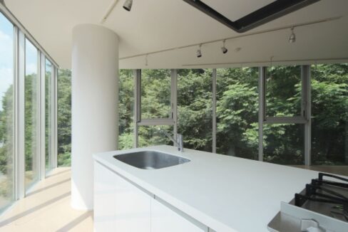 shinjuku luxury apartment kitchen close