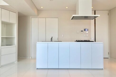 Nakano luxury apartment island kitchen