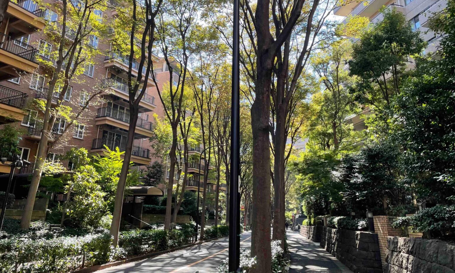 Tokyo Neighborhoods: 10 Best Areas to Live in Tokyo - Tokyo Portfolio