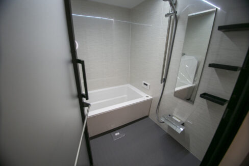 Tennozu Duplex1007 bathroom