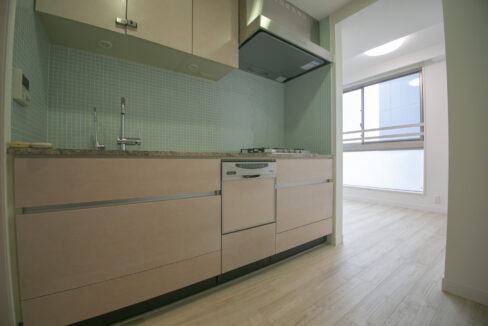 qualia Jinnan Flats kitchen