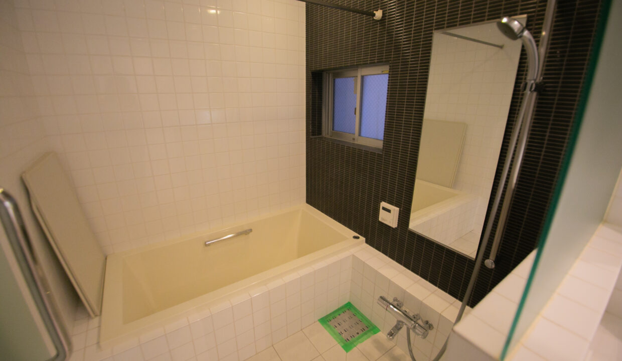 Nakameguro 5-chome house bathroom2