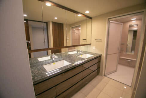 Millenia Court Ginza Premier bathroom2